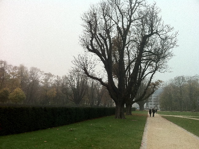 Bergium20111112-129.jpg 141.5kb 648x484pixel